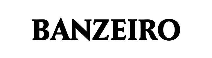 FaberSerifReduced-85Schwer  Free Fonts Download