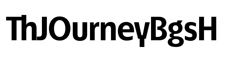 ÉconoSans Reduced 75 Bold  Free Fonts Download