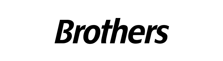 ÉconoSans Reduced 76 Bold Italic  Free Fonts Download