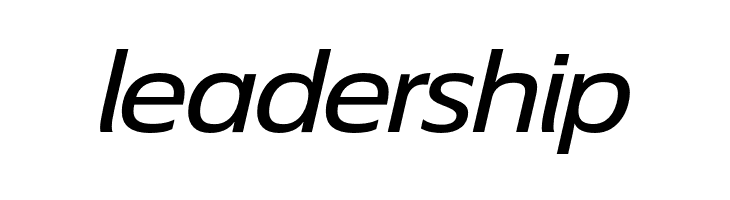 EconoSansRed-64MedExpIta  Free Fonts Download