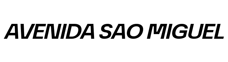 ÉconoSans Reduced 74 Bold Exp Ita  Free Fonts Download