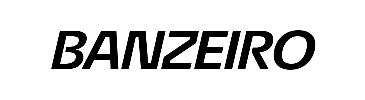 ÉconoSans Reduced 74 Bold Exp Ita  Free Fonts Download