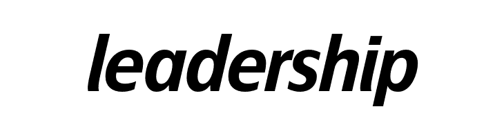 EconoSansRed-76BoldItalic  Free Fonts Download