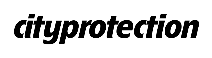 EconoSansRed-86HeavyItalic  Free Fonts Download