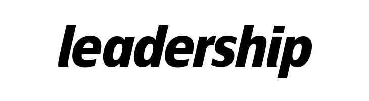 EconoSansRed-86HeavyItalic  Free Fonts Download