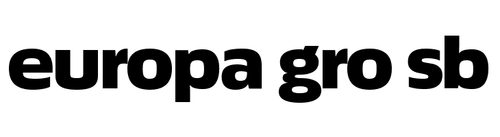 ÉconoSans Reduced 93 Black Expanded  Free Fonts Download