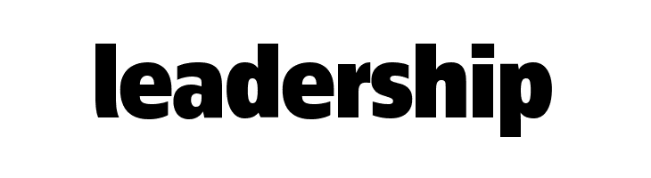 ÉconoSans Reduced 95 Black  Free Fonts Download