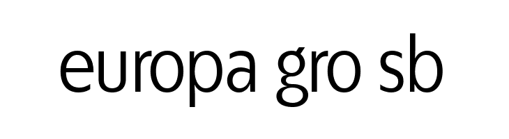 ÉconoSans Reduced 55 Book  Free Fonts Download