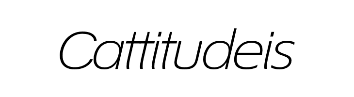 EconoSansRed-44LightExpIta  Free Fonts Download