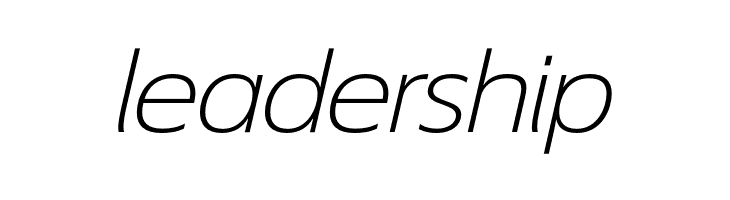 EconoSansRed-44LightExpIta  Free Fonts Download