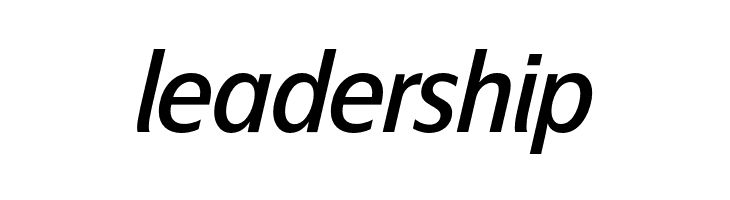 EconoSansRed-66MediumItalic  Free Fonts Download