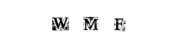 Times New Omen  Free Fonts Download