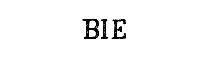 RoughStormsBold  Free Fonts Download
