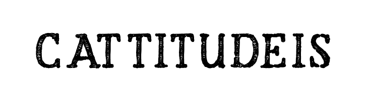 RoughStormsBold  Free Fonts Download