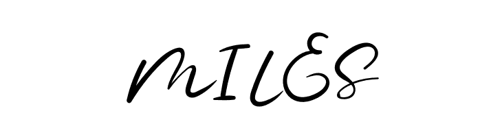 Chamelon  Free Fonts Download