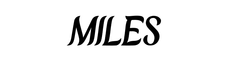 Chameron  Free Fonts Download