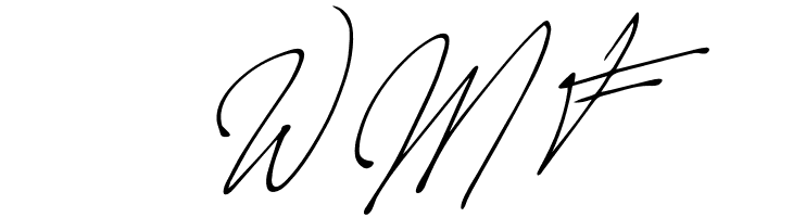 Allison Tessa Extra-expanded ExtraBlack  Free Fonts Download