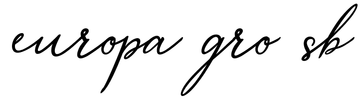 Merrxi Script  Free Fonts Download