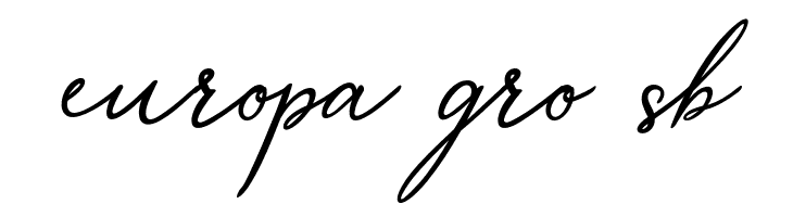 MerrxiScript  Free Fonts Download