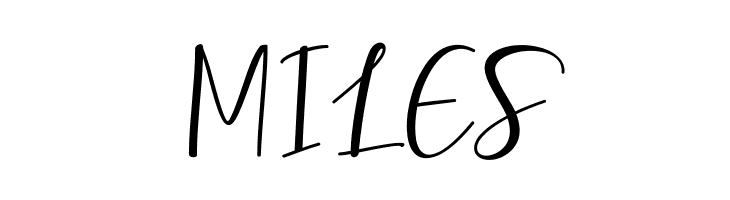 Berhilda Script  Free Fonts Download