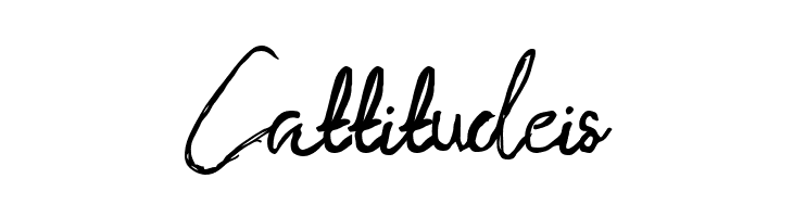 Porto Bianco Brush Demo  Free Fonts Download