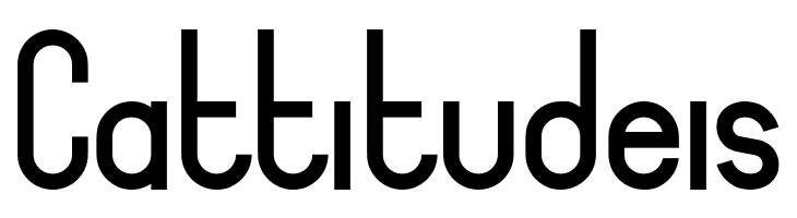 Bingke Setile DEMO  Free Fonts Download