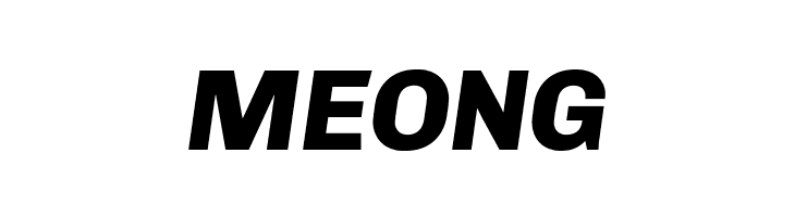 Chivo ExtraBold Italic  Free Fonts Download