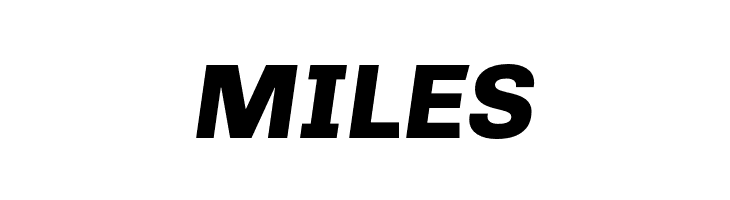 Chivo ExtraBold Italic  Free Fonts Download