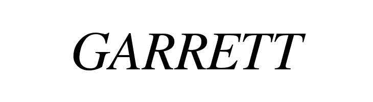 FreeSerif Italic  Free Fonts Download