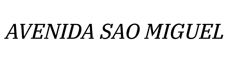 IBM Plex Serif Text Italic  Free Fonts Download