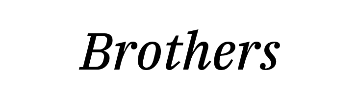 IBM Plex Serif Text Italic  Free Fonts Download