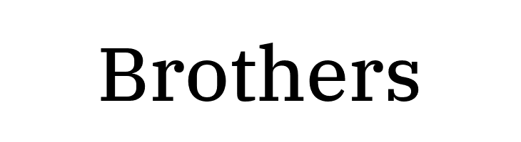 IBM Plex Serif Text  Free Fonts Download