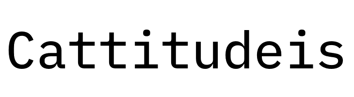 IBM Plex Mono Text  Free Fonts Download