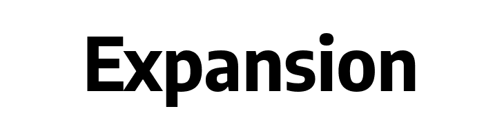 Expansion Encode Sans SemiCondensed Bold Font