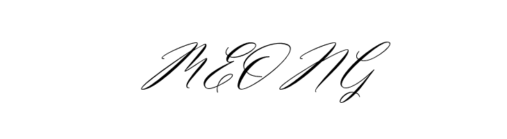 MiolletaScript  Free Fonts Download