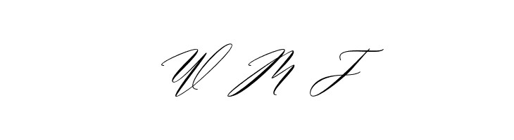 MiolletaScript  Free Fonts Download