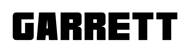 Bold Dragon  Free Fonts Download