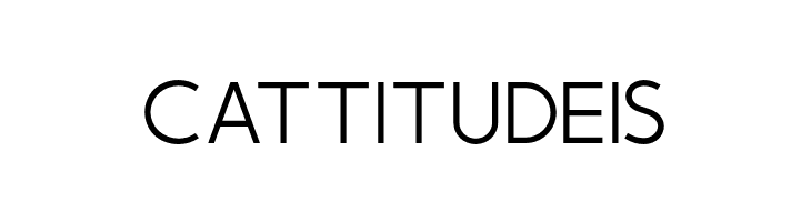 Momcake Thin  Free Fonts Download