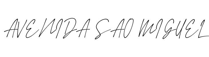 Amstirdam  Free Fonts Download