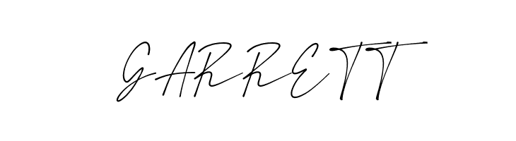 Amstirdam  Free Fonts Download