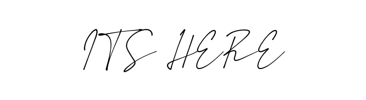 Amstirdam  Free Fonts Download