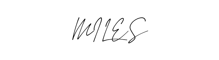 Amstirdam  Free Fonts Download