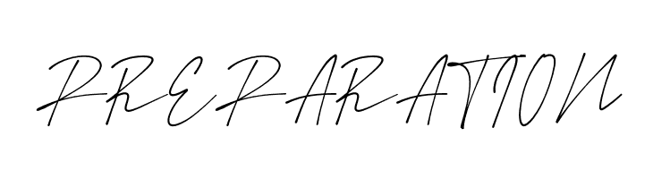 Amstirdam  Free Fonts Download