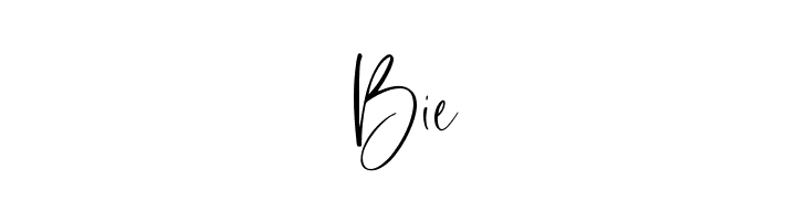 Sundine  Free Fonts Download