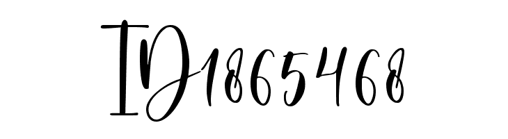 Holiday Party  Free Fonts Download