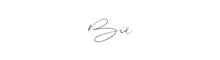 Signeritta  Free Fonts Download