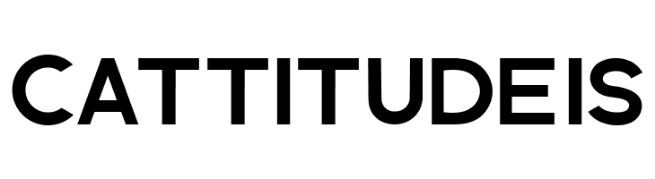 The Brittany Sans Bold  Free Fonts Download