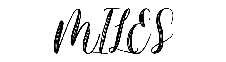 Magista Brush  Free Fonts Download