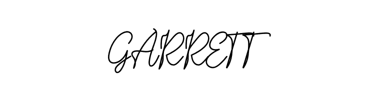 Barier Signature Personal Use  Free Fonts Download