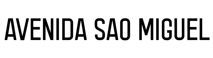 Acmatic Thin Personal  Free Fonts Download